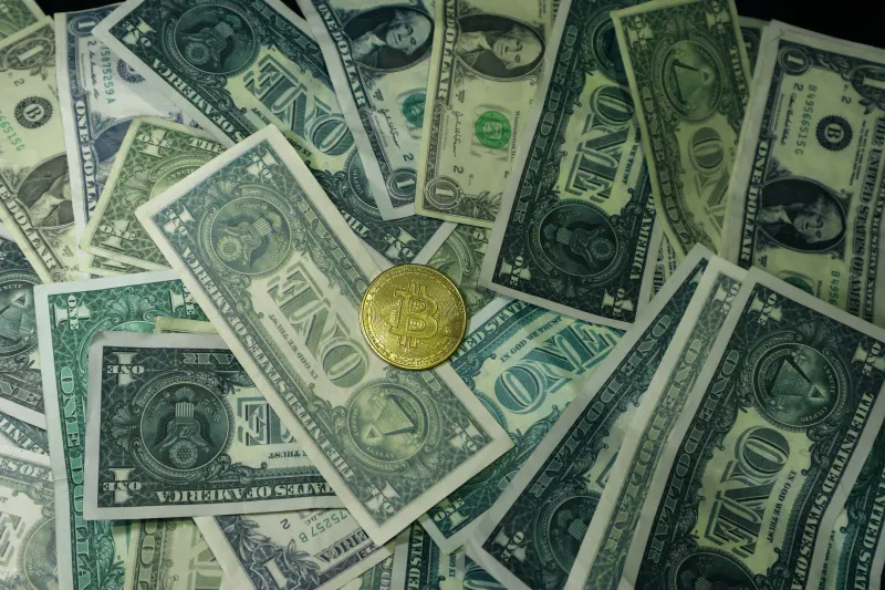 Stable Ground or Shifting Sand? A Practical Investor's Guide to USD-Backed Tokens in an Era of US Regulatory Scrutiny
